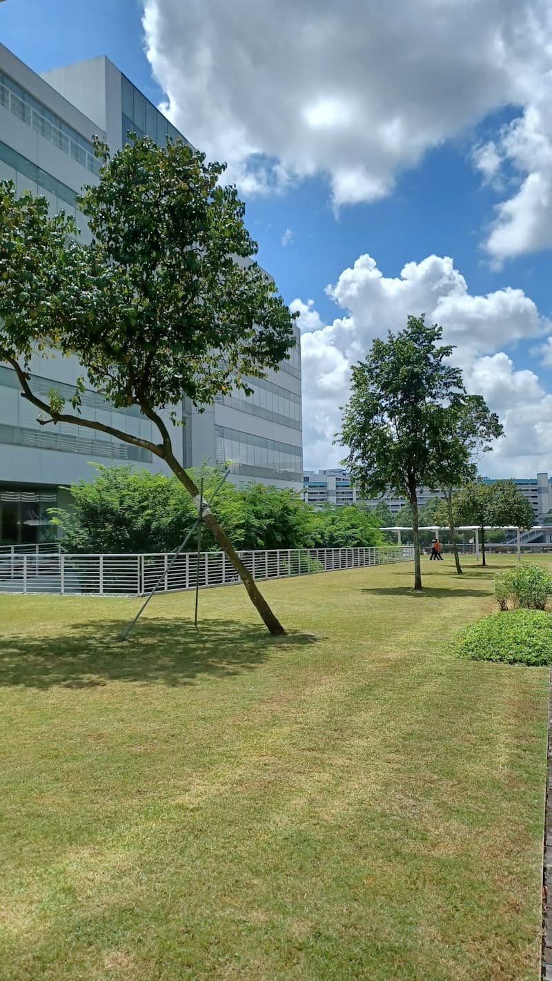 Commercial property landscaping