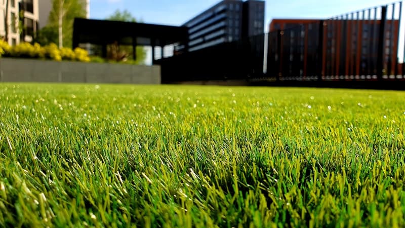 Freshly installed green lawn
