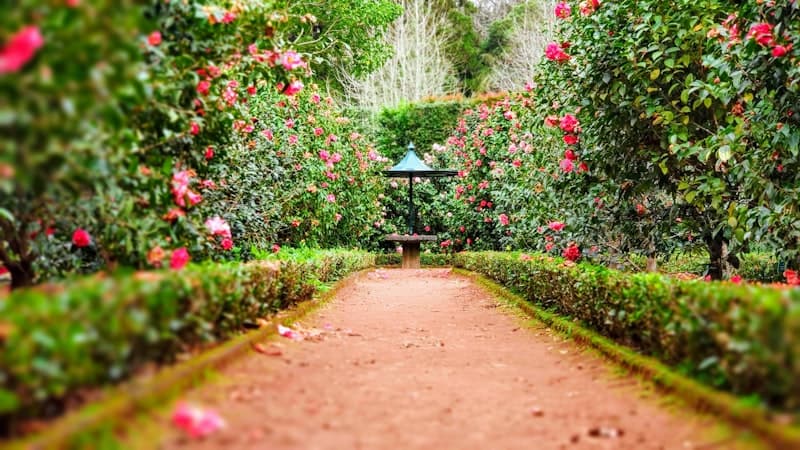 Beautiful landscape design