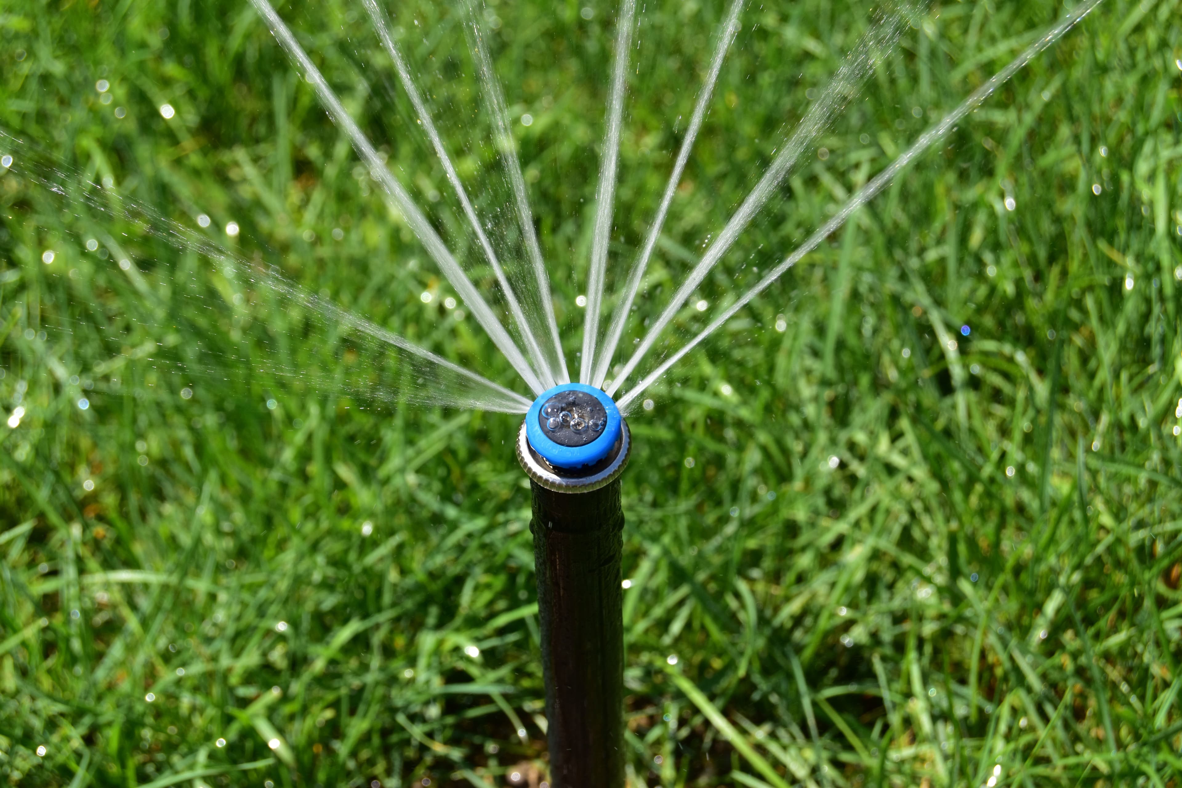 Irrigation & Drainage