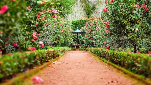 Landscaping Design
